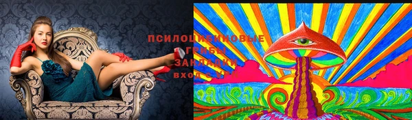 прущая мука Володарск